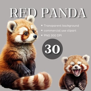 Clipart aquarela de panda vermelho, 30 PNG de alta qualidade, download digital