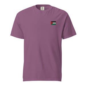 Palestine Flag Embroidered T-Shirt