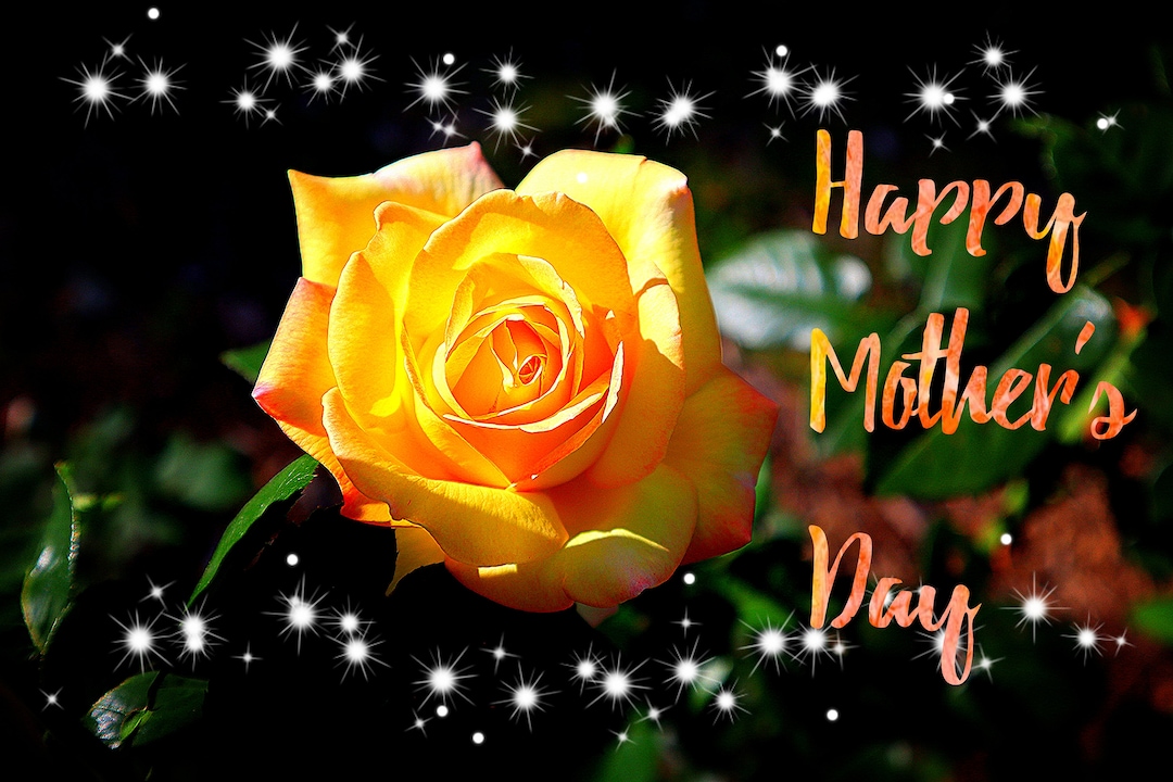 Happy Mother's Day Yellow Rose Digital Art Download - Etsy