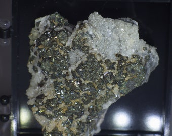 Pyrit und Calcit auf Muttergestein, in mittelgroßer Perky-Box