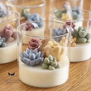 Scatola regalo personalizzata di candele per terrari di piante grasse con coperchio grande con biglietto di auguri gratuito I regalo di compleanno I regalo per la festa della mamma