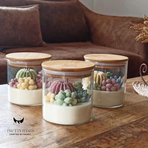Boîte cadeau personnalisée de cactus et plantes grasses pour terrarium, bougie avec grand couvercle et carte de voeux gratuite I Cadeau d'anniversaire