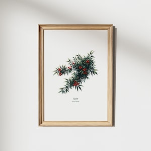 Yew Mystical Plant Print - Magic Potion - Apothecary Decor - Witchcraft Decor - Gothic Garden