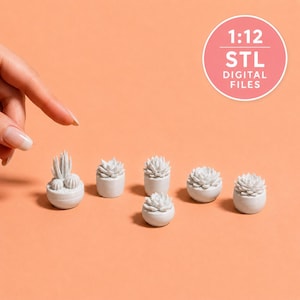 Conjunto de 6 suculentas em vasos – Casa de bonecas em escala 1:12 – Arquivos STL para impressão 3D