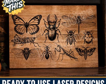 Archivo SVG de exhibición científica de insectos de entomología, archivo de corte láser PNG, grabado láser, sublimación (descarga digital)