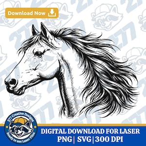 May include: Black and white line art of a horse's head, facing left, with a flowing mane. The image includes the text "Download Now" and "DIGITAL DOWNLOAD FOR LASER PNG | SVG | 300 DPI". A logo with a raccoon wearing a hat is also present.