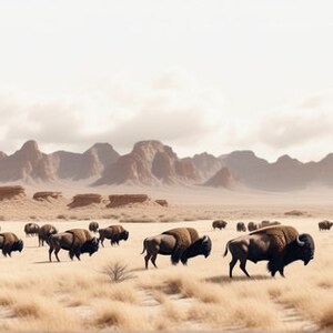 FRAME TV Art Buffalo Digital Art Bison Nature Wild Beauty image 4