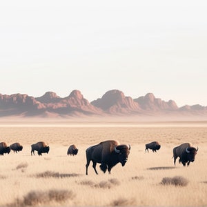 FRAME TV Art Buffalo Digital Art Bison Nature Wild Beauty image 9
