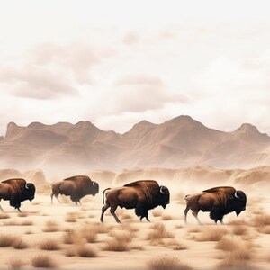 FRAME TV Art Buffalo Digital Art Bison Nature Wild Beauty image 10