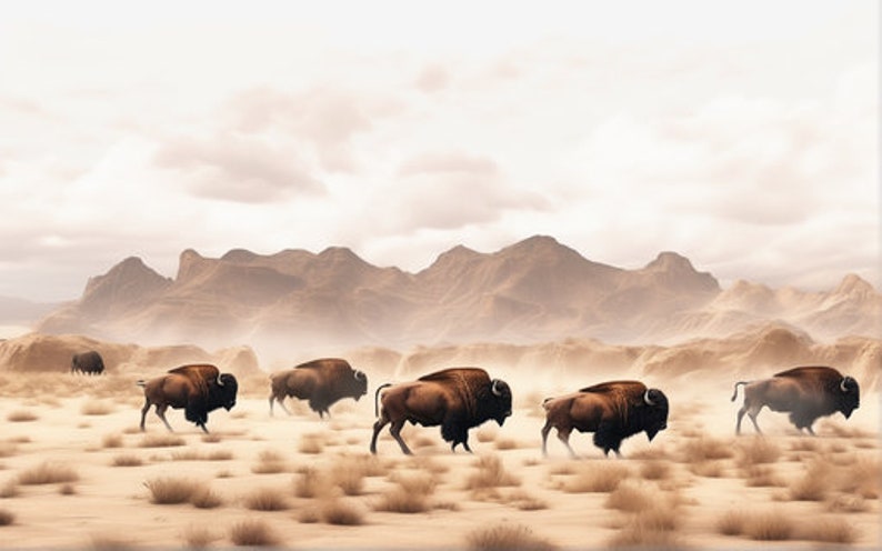 FRAME TV Art Buffalo Digital Art Bison Nature Wild Beauty image 10