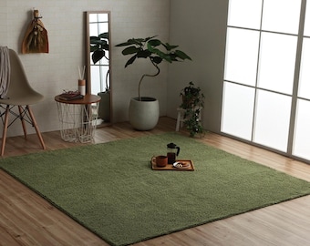 May include: An olive green shag rug dominates the floor of a room with wooden flooring. A small wooden tray with a coffee pot, two mugs, and a snack sits on the rug. A mirror, plants, and a chair are also in the room.