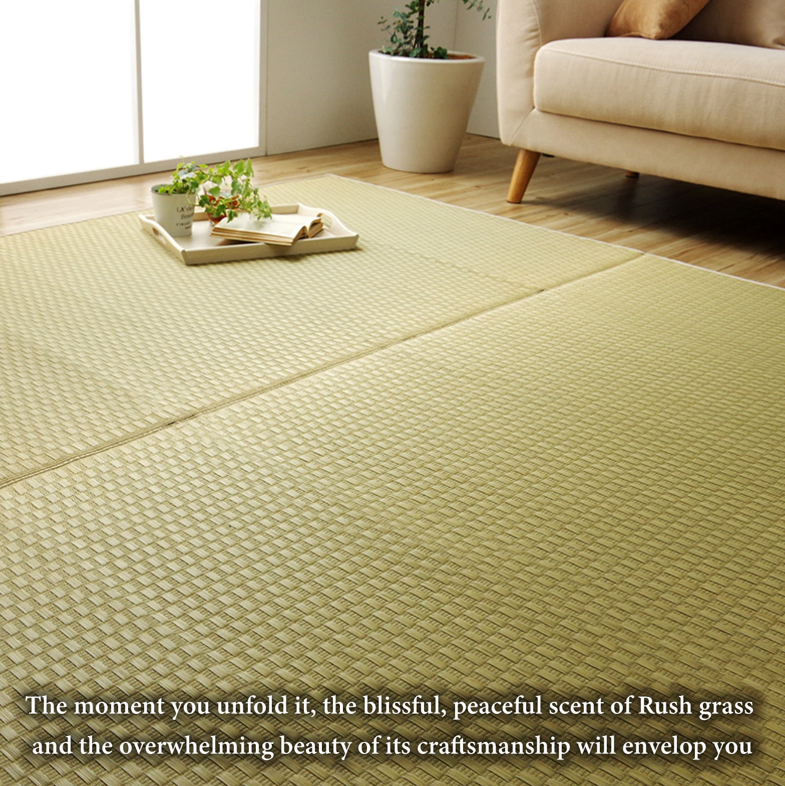 Tatami Mat Japanese Rush Grass, Area Rug Goza Igusa, Traditional