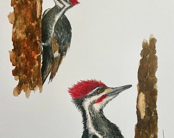Pileated Woodpeckers Watercolor Wildlife Print | "The Pterodactyls"
