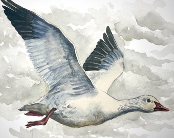 Snow Goose Watercolor Wildlife Print | "Heading Home Again"