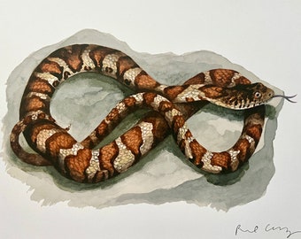 Common Water Snake Watercolor Wildlife Print | "Nonvenomous"