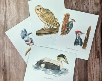 Watercolor Birds Note Card Set: Eco-Friendly Wildlife Stationery
