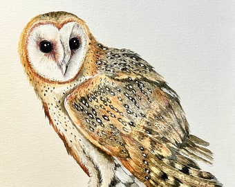 Barn Owl Watercolor Wildlife Print | "Farmer's Ghost"