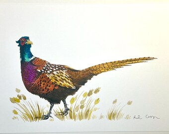 Ring-necked Pheasant Watercolor Wildlife Print | "Morning Walk"