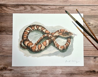 Common Water Snake Watercolor Wildlife Print | "Nonvenomous"
