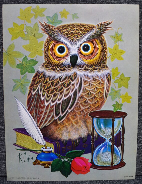 Set of 5 Psychedelic Owls Lithographs by Artist K. Chin - Etsy