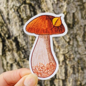 Mushroom vinyl sticker | Cottagecore matte stickers | Laptop Bicycle Skateboard | Weatherproof decals