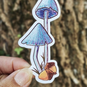 Pilz Vinyl Sticker | Cottagecore matte Sticker | Laptop Fahrrad Skateboard | Wetterfeste Aufkleber