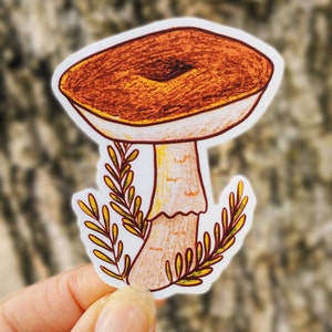 Mushroom vinyl sticker | Cottagecore matte stickers | Laptop Bicycle Skateboard | Weatherproof decals