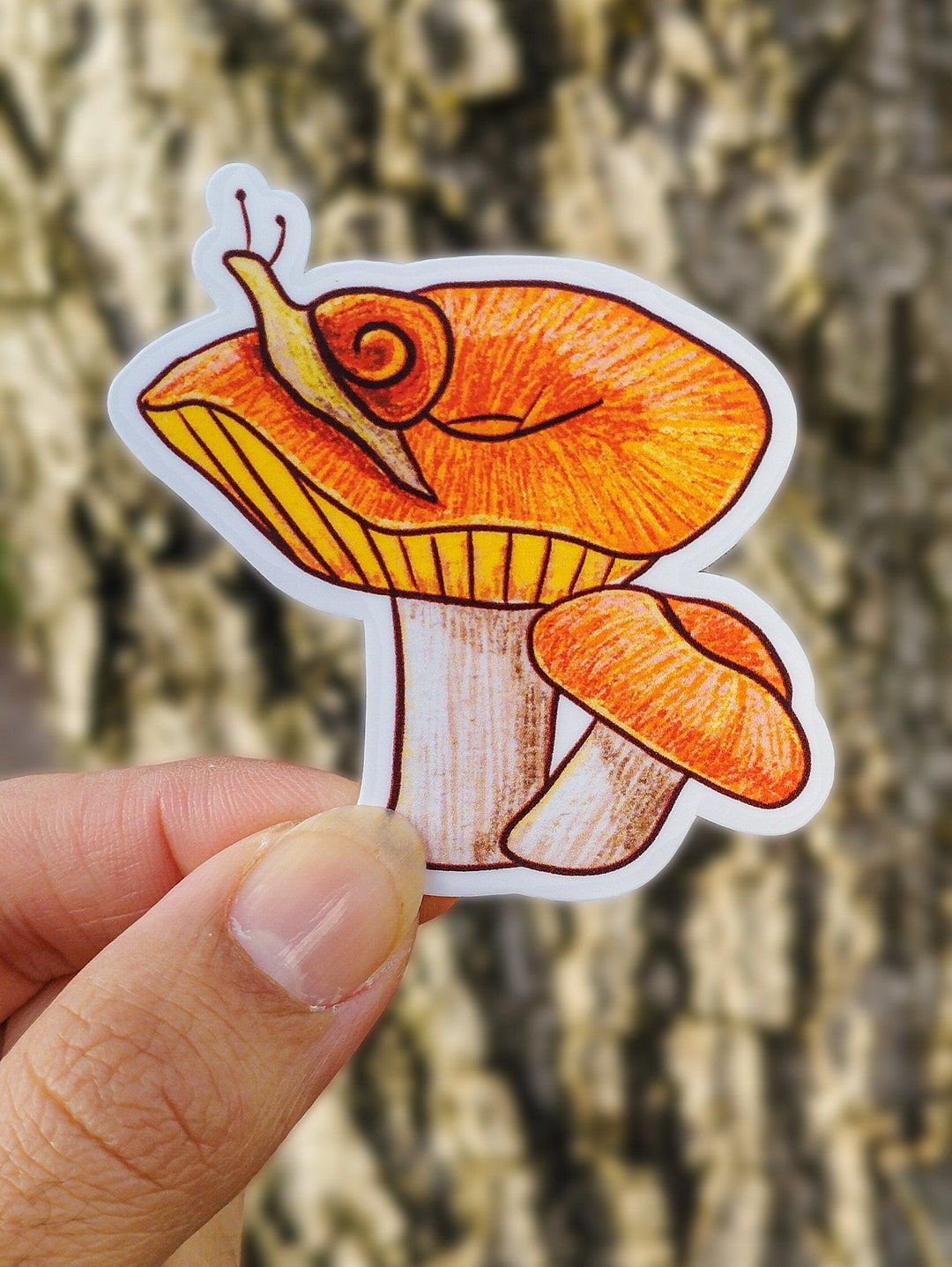 Mushroom Vinyl Sticker Cottagecore Matte Stickers Laptop Etsy