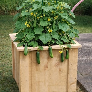 Large Wooden Planter Box, 29X29X25 Outdoor Cedar Planter, Rustic Garden Planter, Patio Flower Box, Deck Planter Box, Farmhouse Garden Decor