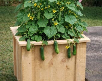 Large Wooden Planter Box, 29X29X25 Outdoor Cedar Planter, Rustic Garden Planter, Patio Flower Box, Deck Planter Box, Farmhouse Garden Decor