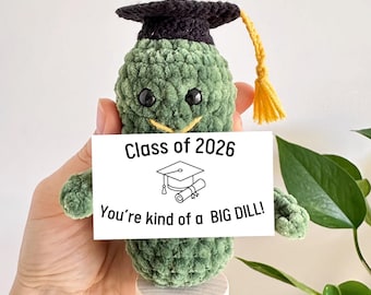 Handgemachte gehäkelte Abschluss-Gickle, Klasse von 2026 Geschenk, Abitur-Geschenk, lustiges bestandenes Geschenk, Abschluss-Andenken