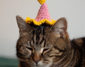 Cat Party Hat