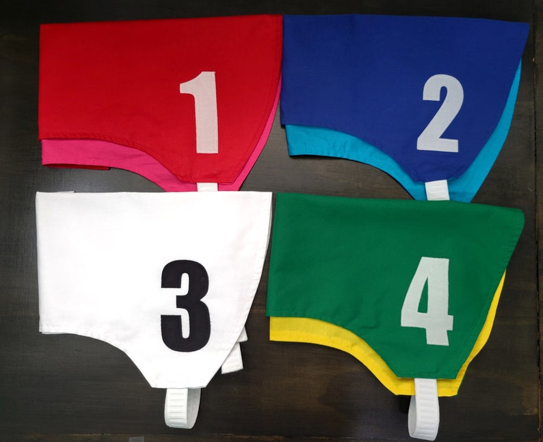 Dog Racing Jackets/Blankets Set 1-4 with Lure Coursing Colors All Breeds & Sizes XXS-XXL image 1