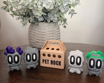 3D Printed Pet Rock With Carrier