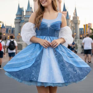 ladies cinderella fancy dress Cinderella Costumes for Adults & Kids
