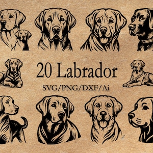 20 Labrador svg volledige lichaam labrador clipart bundel hond ras retriever moeder Lab Logo commerciële dxf PNG EPS clipart Cricut knippen snijden bestand