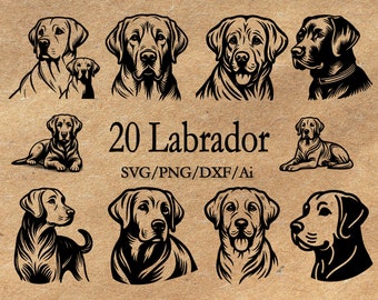 Labrador SVG Bundle, Minimalist Dog Line Art, Labrador Retriever Silhouette Cut File for Cricut, Cute Dog Clipart, Pet Lover Vector PNG