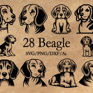 29 Beagle svg Full body Beagle clipart bundle dog Breed Beagle mom Lab Logo Commercial dxf PNG EPS Clipart Cricut Cut Cutting File