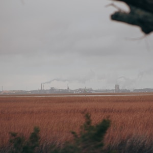 Fernandina Beach Mill