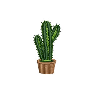 Puede incluir: Un cactus bordado en una maceta marrón tejida. El cactus es de un verde vibrante con rayas verdes oscuras y pequeños detalles puntiagudos. La maceta tiene una apariencia texturizada, similar a una cesta.