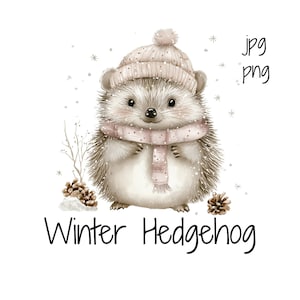 Watercolor Winter Hedgehog Clipart | Woodland Animal PNG | Cute Baby Hedgehog JPG | Transparent Background | Commercial Use