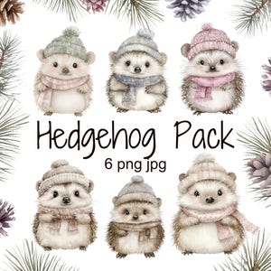 Pacote de clipart de ouriço aquarela | Animais fofos da floresta de inverno PNG | Gráficos de férias | Uso comercial