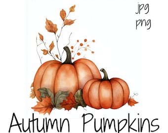 Watercolor Autumn Pumpkin PNG | Harvest Graphic | Thanksgiving JPG | Transparent Background | Commercial Use