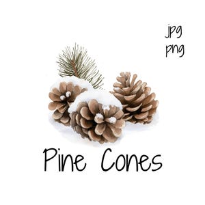 Watercolor Pine Cone Clipart | Winter Digital Graphic |  Christmas PNG | Transparent Background PNG | Digital Download | Commercial Use