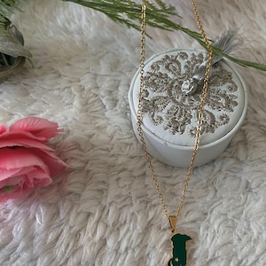 Pakistan Flag Pendant Necklace : Stainless Steel & Gold Plated