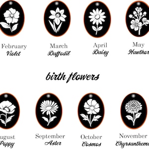 May include: A collection of twelve black oval pendants, each featuring a white floral design representing a birth flower for each month. The months and flowers are labeled below each pendant, with the text "birth flowers" in the center.