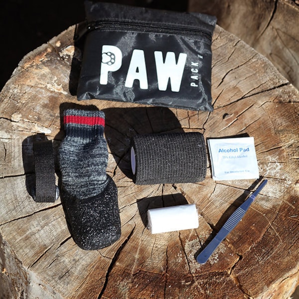 Botiquín de primeros auxilios para perros: protección para las patas durante el senderismo y la acampada