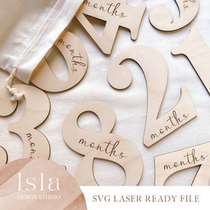SVG Hitos de madera de 12 meses - Accesorio fotográfico de 12 meses - Archivo listo para láser - Primeros 12 meses - SVG láser de tendencia - Primeros 12 meses - Discos de mes
