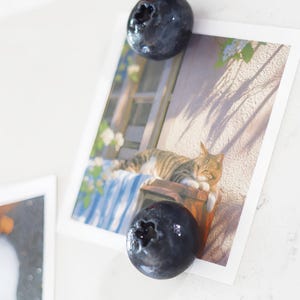 Blueberry Clay Fruit Magnet, Handmade Fridge Magnets