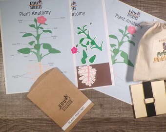Plant Anatomy Stickers & Botany Lab Field Kit | Botany | Edu